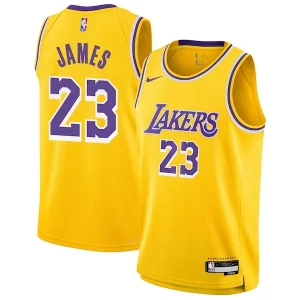 Carino Moderno LeBron James Los Angeles Lakers Nike Youth Swingman Jersey Icon Edition Gold