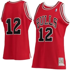 Delizioso Michael Jordan Chicago Bulls 1989/90 Hardwood Classics Authentic Jersey Red