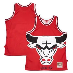 Elegante Chicago Bulls Hardwood Classics Blown Out Fashion Jersey Red